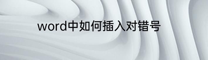 word中如何插入对错号