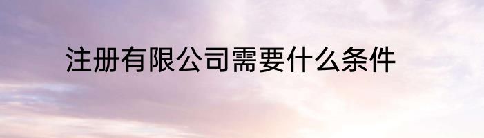 注册有限公司需要什么条件