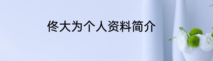佟大为个人资料简介