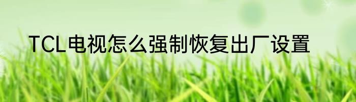 TCL电视怎么强制恢复出厂设置