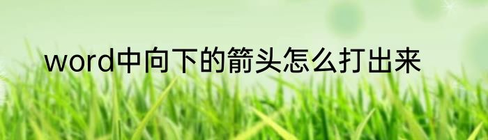 word中向下的箭头怎么打出来