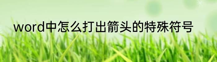 word中怎么打出箭头的特殊符号