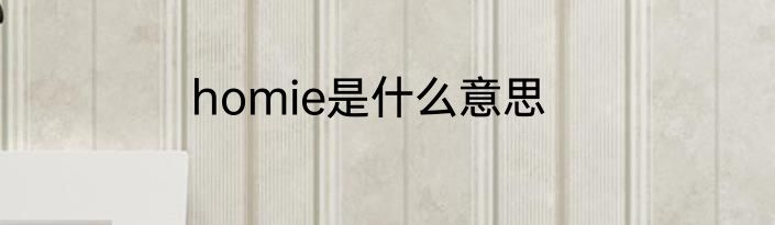 homie是什么意思