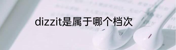 dizzit是属于哪个档次