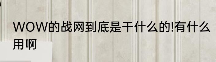 WOW的战网到底是干什么的!有什么用啊