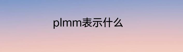 plmm表示什么