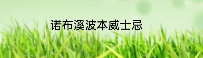 诺布溪波本威士忌