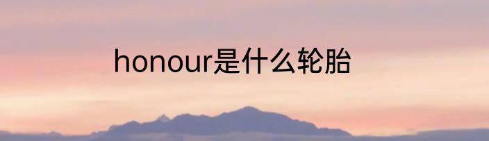 honour是什么轮胎