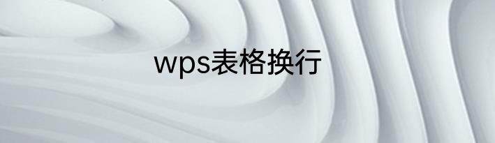wps表格换行