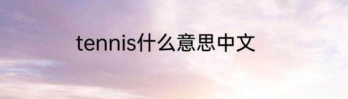 tennis什么意思中文