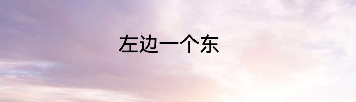 左边一个东