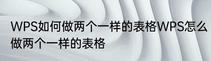 WPS如何做两个一样的表格WPS怎么做两个一样的表格