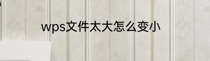 wps文件太大怎么变小