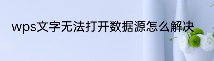 wps文字无法打开数据源怎么解决
