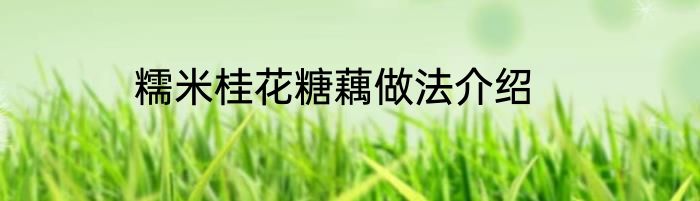 糯米桂花糖藕做法介绍