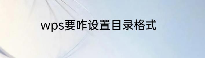 wps要咋设置目录格式
