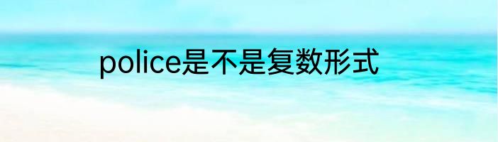 police是不是复数形式