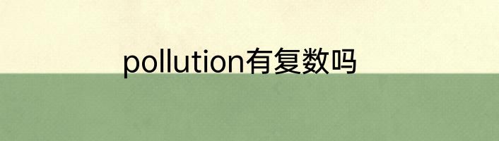 pollution有复数吗