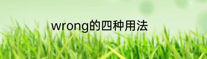 wrong的四种用法