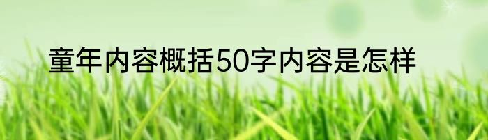 童年内容概括50字内容是怎样