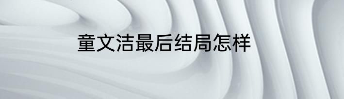 童文洁最后结局怎样