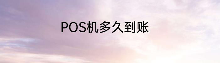 POS机多久到账
