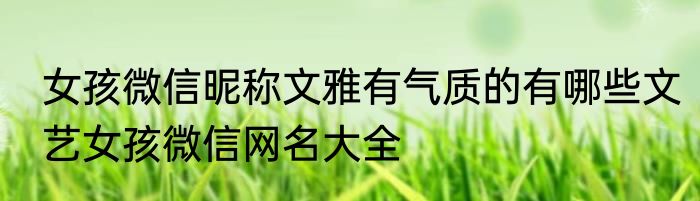 女孩微信昵称文雅有气质的有哪些文艺女孩微信网名大全