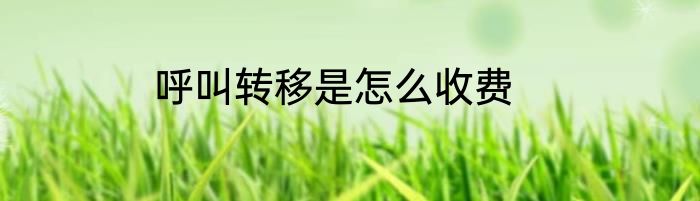 呼叫转移是怎么收费