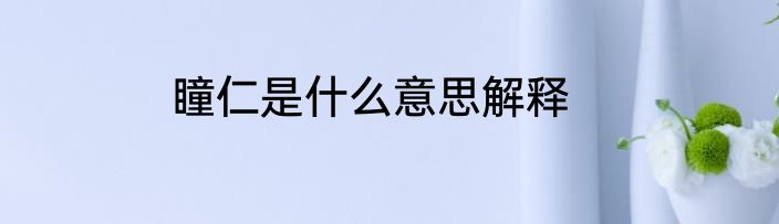 瞳仁是什么意思解释