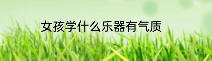 女孩学什么乐器有气质