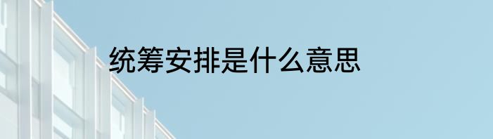 统筹安排是什么意思