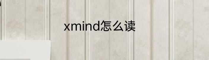 xmind怎么读