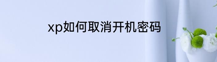 xp如何取消开机密码