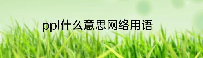 ppl什么意思网络用语