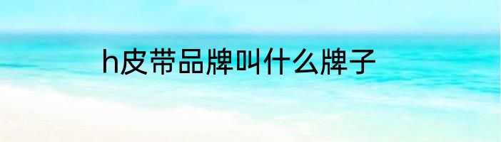 h皮带品牌叫什么牌子