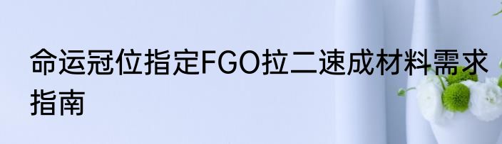 命运冠位指定FGO拉二速成材料需求指南