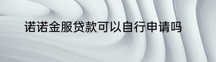 诺诺金服贷款可以自行申请吗
