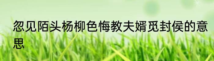 忽见陌头杨柳色悔教夫婿觅封侯的意思