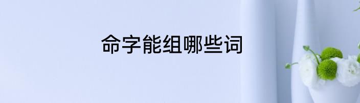 命字能组哪些词