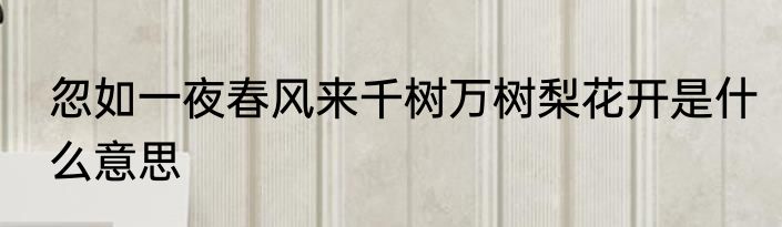 忽如一夜春风来千树万树梨花开是什么意思