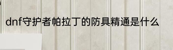 dnf守护者帕拉丁的防具精通是什么