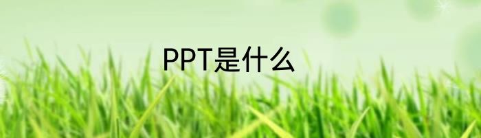 PPT是什么