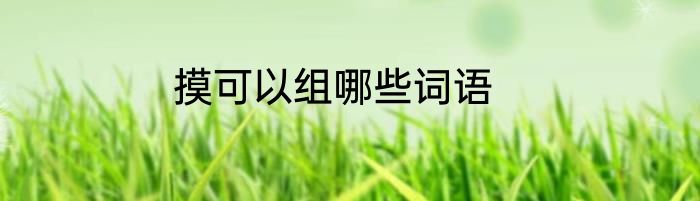 摸可以组哪些词语