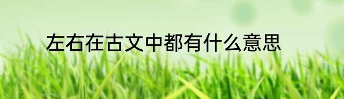 左右在古文中都有什么意思