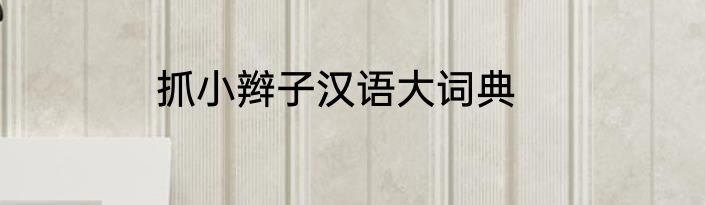 抓小辫子汉语大词典