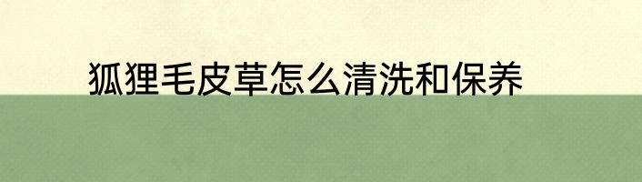 狐狸毛皮草怎么清洗和保养