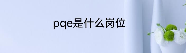pqe是什么岗位