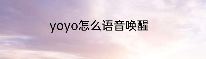 yoyo怎么语音唤醒