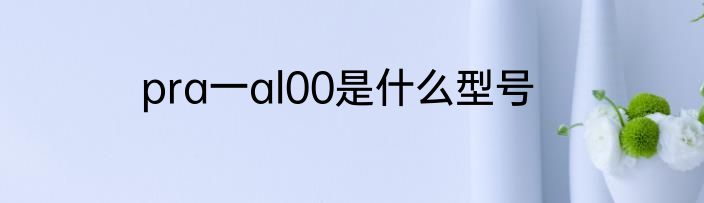 pra一al00是什么型号