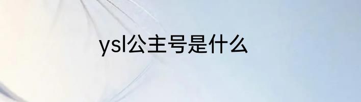 ysl公主号是什么